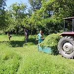 Фермерский дом Bauernhof Schink