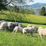 Bauernhof Schink Фермерский дом Целль-ам-Мос