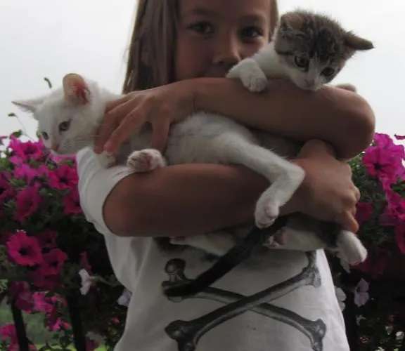 باويرنهوف شينك زيل أم موس