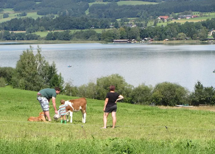 Feriegård Bauernhof Schink Zell am Moos