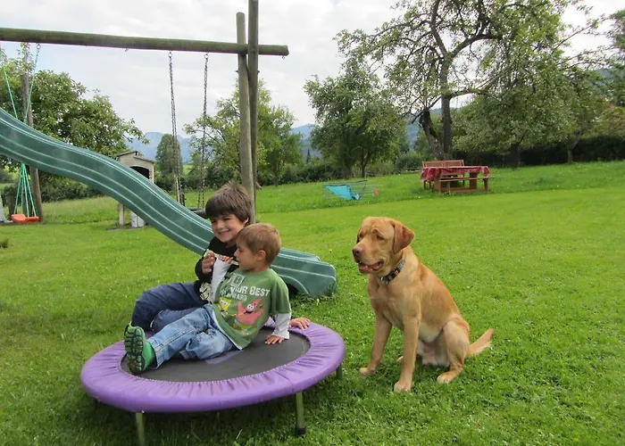 باويرنهوف شينك *