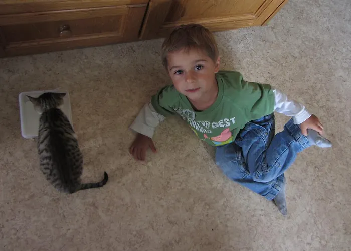 باويرنهوف شينك *