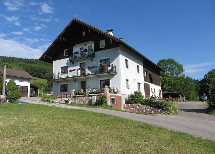 باويرنهوف شينك * زيل أم موس