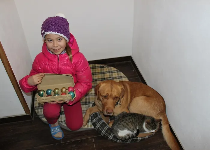 مزرعة للإقامة باويرنهوف شينك