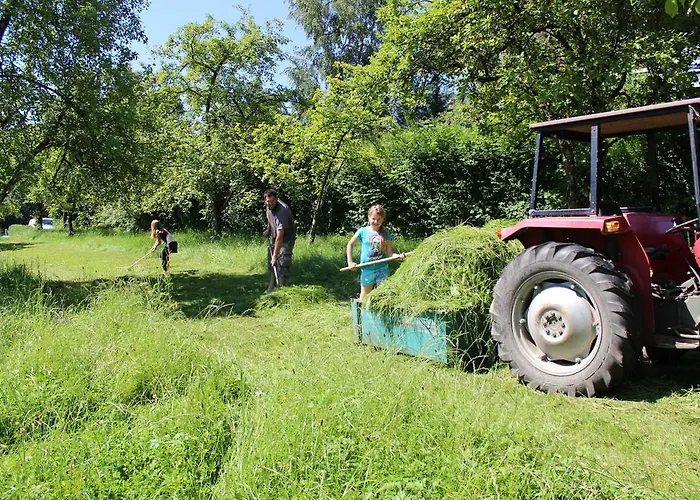 مزرعة للإقامة باويرنهوف شينك