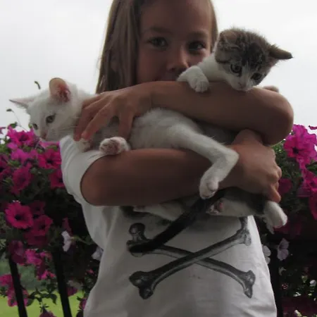 Bauernhof Schink Zell am Moos