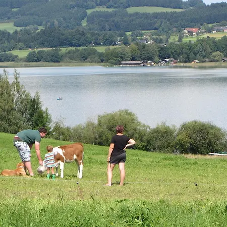Séjour à la ferme Bauernhof Schink Zell am Moos