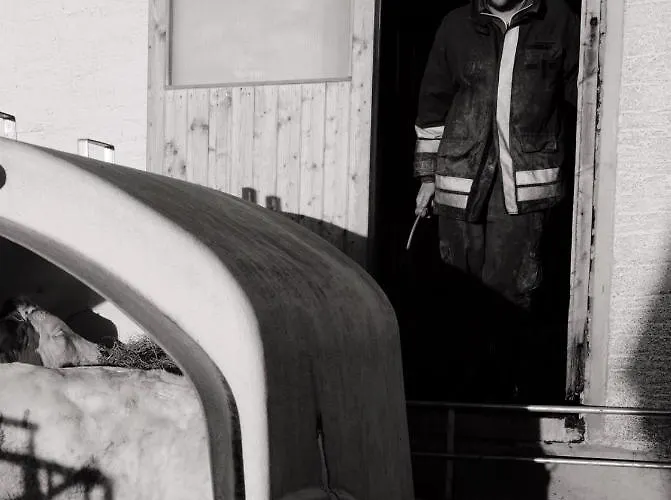 Bauernhof Schink בית חווה זל אם מוס