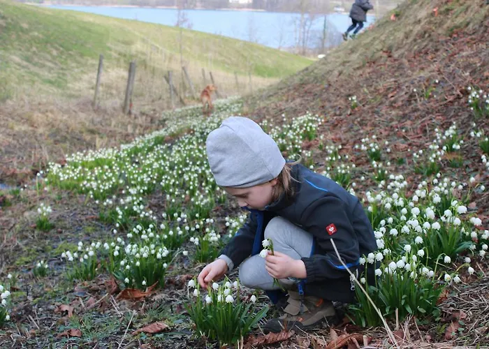 בית חווה Bauernhof Schink *