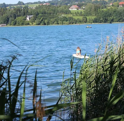 Bauernhof Schink זל אם מוס