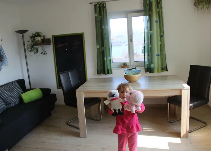 Bauernhof Schink זל אם מוס